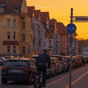 麻豆免费视频网站
