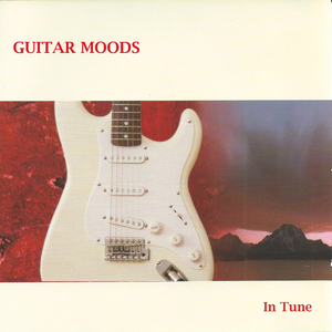 麻豆免费视频网站
