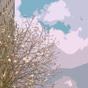 麻豆免费视频网站
